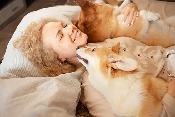 overnight pet sitting one on one care.webp