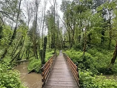 Lake Oswego Tryon Creek State Natural Area