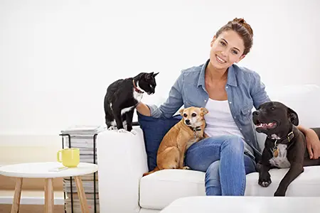 Dog relaxed and happy at home with his professional pet sitter in Portland, OR